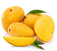 FRESH ALPHONSO MANGOES